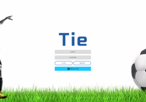 꽁머니 토토사이트 타이 (TIE) 먹튀검증